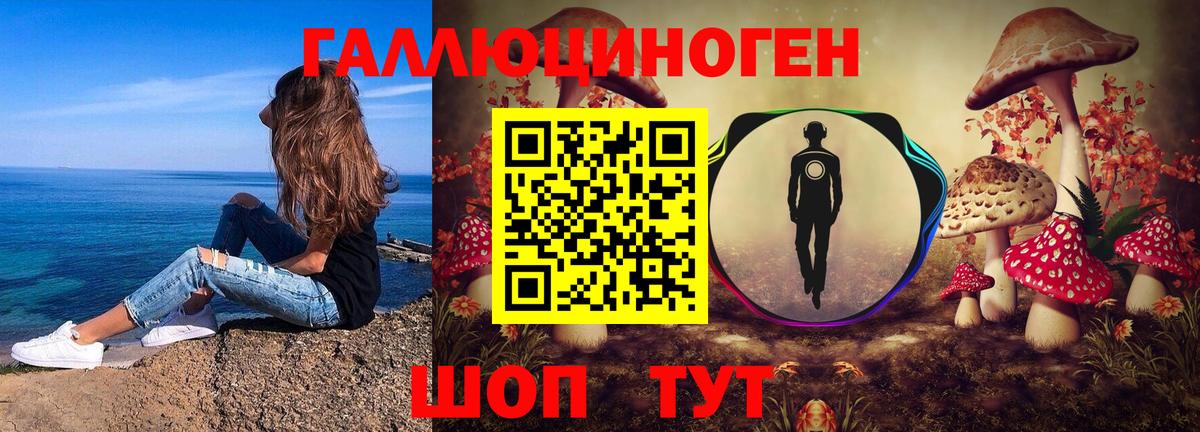 Чебоксары  Псилоцибиновые грибы Cubensis  Вход с VPN  Галлюциногенные грибы GOLDEN TEACHER 